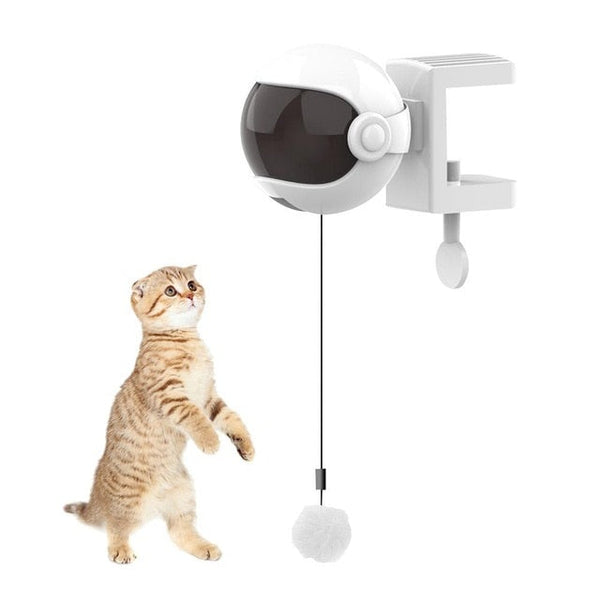 HIGH ROLLER: SMART Lifting Cat Toy